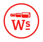 Wellington Strategies