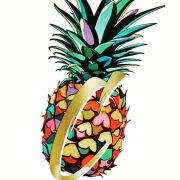 Coast to Coast Travelers LLC